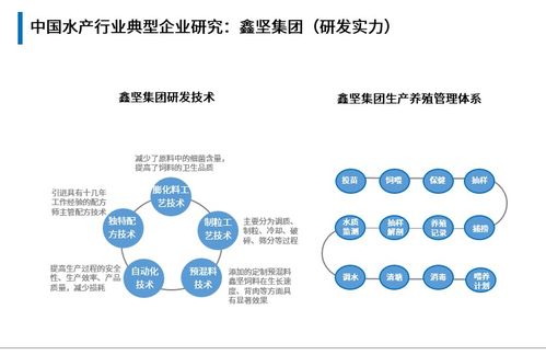 打通水产预制菜全链条,鑫坚全方位布局见成效